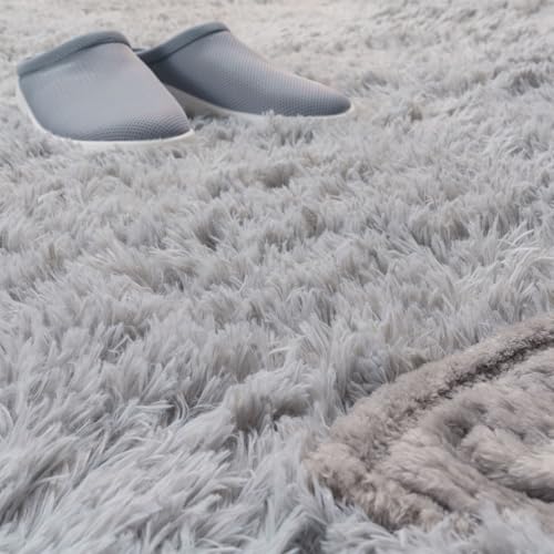 TT Home Teppich Wohnzimmer Hochflor Langflor Weich Soft Modernes Einfarbiges Design, Farbe: Grau Silber, Größe:60x100 cm