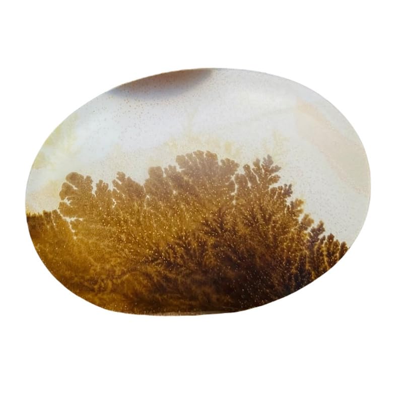 Agate dendritique pierre précieuse en vrac cabochon 37x26x1mm pour fabrication bijoux DIY