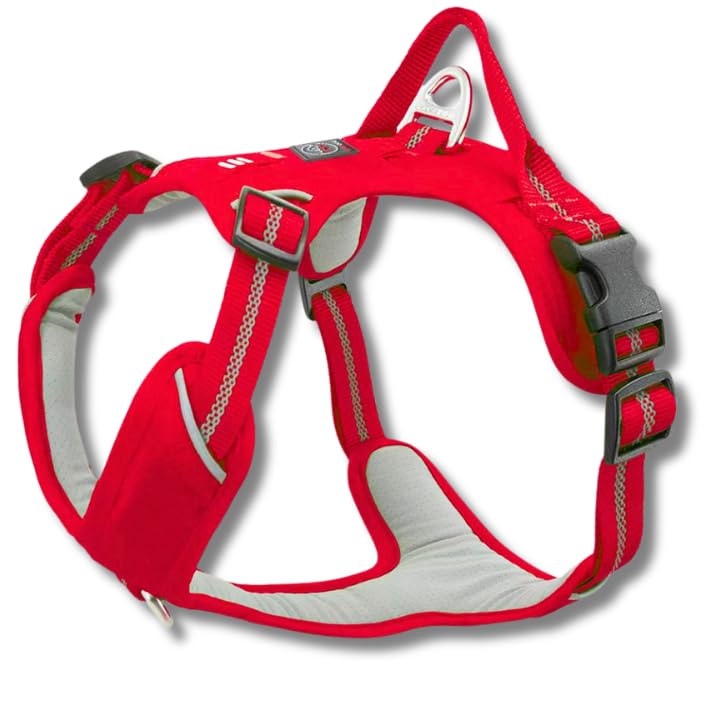 Lalazoo Adventure Hundegeschirr Typ Guard – No-Pull verstellbar gepolstert & reflektierend mit Griff Zwei Leinenbefestigungen & Tasche wasserabweisend für kleine mittelgroße & große Hunde – Rot, M