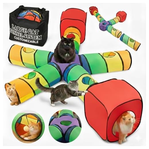 Customizable 5-Way Cat Tunnel System