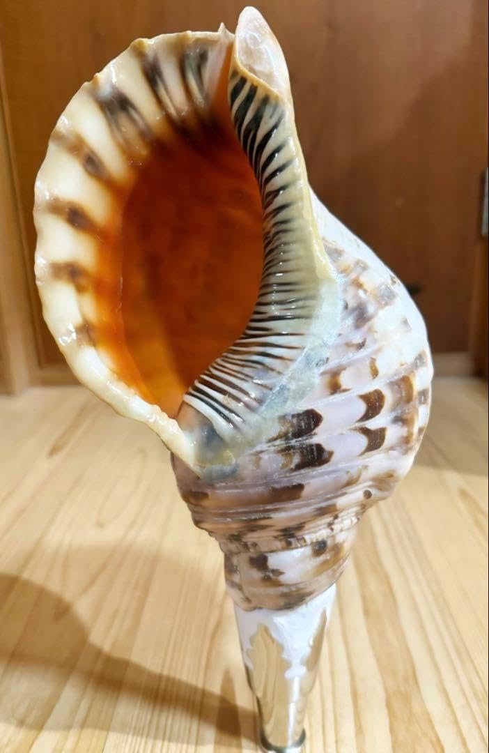 渡辺/watanabe セミオーダー マンドリン 200番