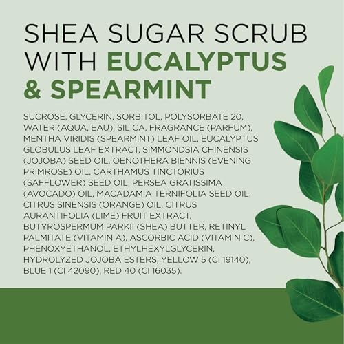 Dr Teal's Shea Sugar Scrub, Eucalyptus & Spearmint Essential Oils, 19 oz (Pack of 3) - image 7