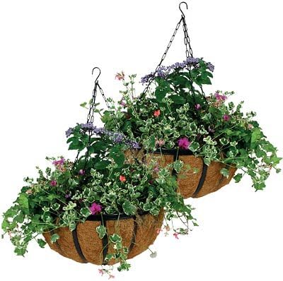 Traditional Black Metal Hanging Flower Basket with Coco Liner, 10 Inches (Pack of 2)