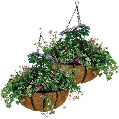 Gardman Forged Hanging Baskets, Black, 14" Dia., Pack of 2