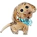 Swarovski Puppy Figurine, Milo The Dachshund