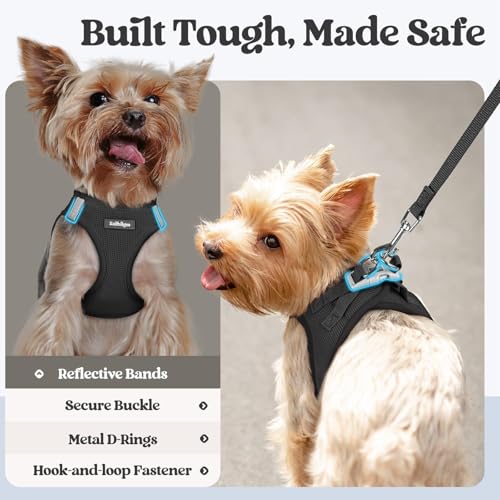 rabbitgoo Step-In Harness & Leash Set (Black, M) — view 5