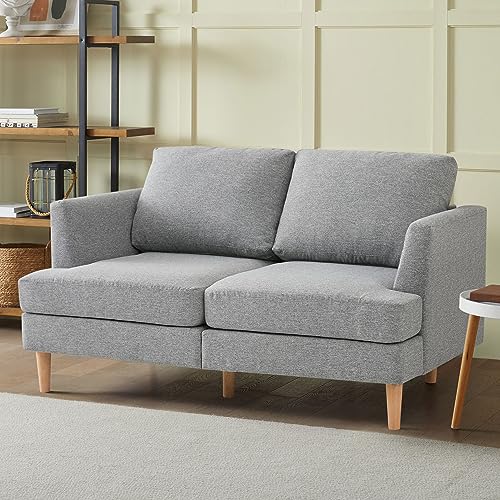 Busaurus Loveseat Sofa 56\", Small Couches for Small Spaces, Mid Century Love Seat Couches for Living Room, Upholstered 2-Seater Small Couch for Bedroom, Apartment, Grey