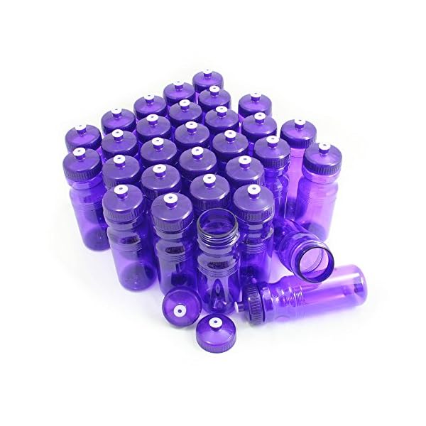Rolling Sands USA Made 24 Ounce Sports Water Bottles - 30 Pack BPA-Free Blank Plastic Bottles for Teams, Gyms & Studios - Translucent Purple Bottle/Purple Lid
