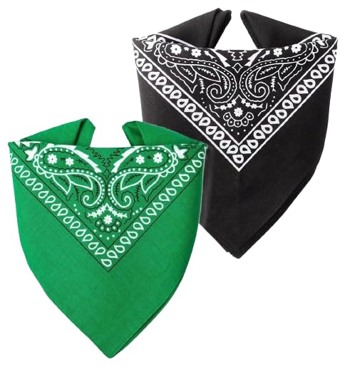 run india 100% Cotton Novelty Double Sided Print Paisley Cowboy Bandana Party Favor Scarf Headband Handkerchiefs-picture-28