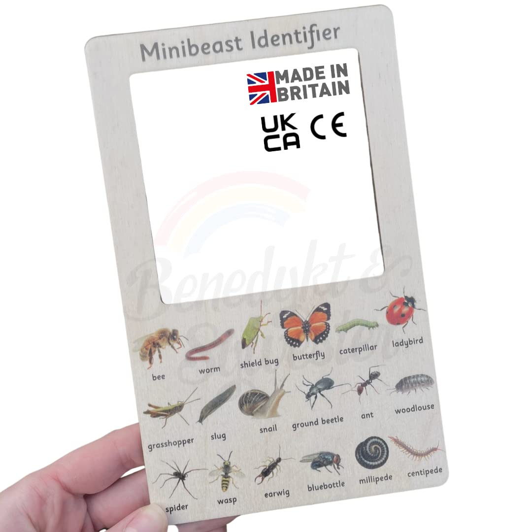 Genuine Nature Bug Identifier Wooden Minibeasts insect Viewer CE Tested Montessori education Homeschool sky Handmade tool children's Benedykt & Sylvester®