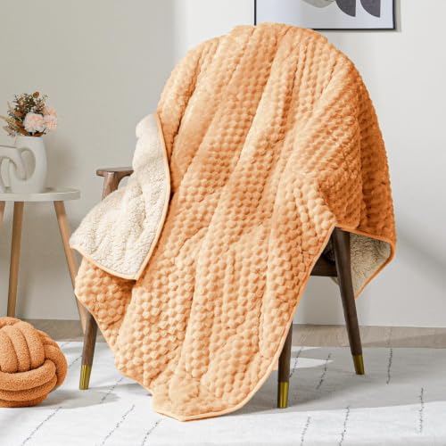 Image of Fleece Weighted Blanket for Adults 60 inch x 80 inch 15lbs Soft Fuzzy Blankets