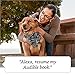 Echo Frames (2nd Gen) | Smart audio glasses with Alexa | Classic Black