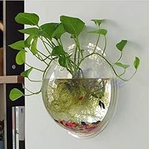 Wall Mounted Fish Bowl Hanging Betta for Aquarium Wall Decor Plant Fish Bubble Bowls Clear Acrylic 5.9" 7.7" 10.2"