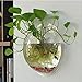 KSTZGTA Pot Wall Hanging Mount Bubble Aquarium Bowl Fish for Tank Aquarium Home Decorati Aquariums Tanks 100 Gallons, Transparent