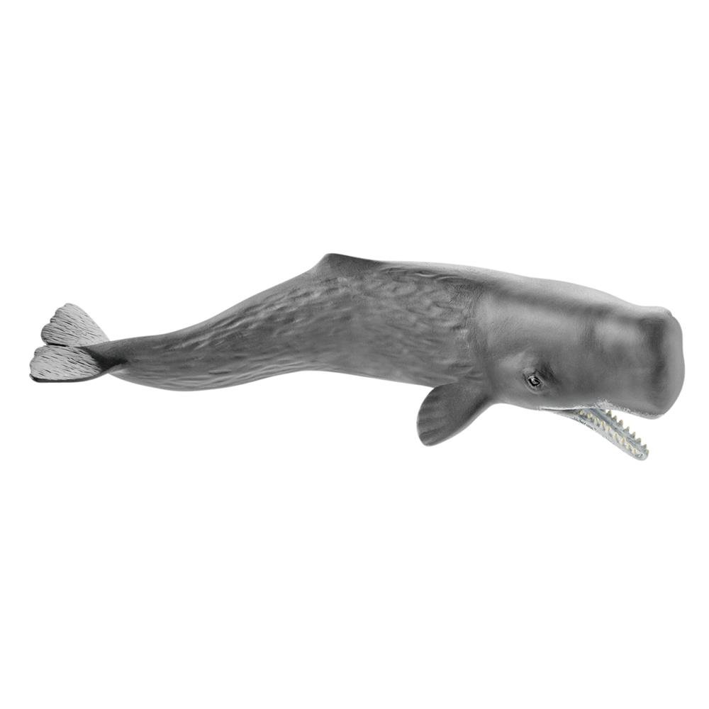 Amazon.co.jp: シュライヒ ワイルドライフ マッコウクジラ フィギュア