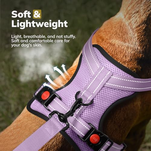 FAYOGOO Hundegeschirr, Kein Choke Front Clip Hund Reflektierendes Geschirr, No-Pull Verstellbare Weiche Gepolsterte Haustier Weste Set für kleine Mittlere Große Hunde Gehen (Lila, M)