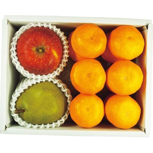 yΕ\z Lc݂EMBTӂ񂲁EEtXl y12/03甭Jnz