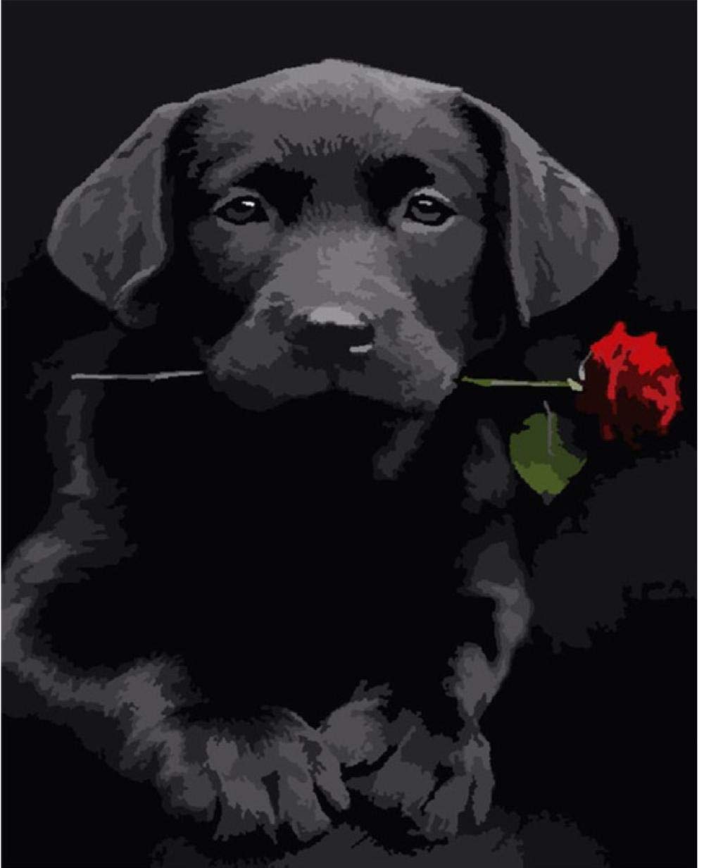 Peinture par numéro chien sur toile 40x50cm avec kit acrylique