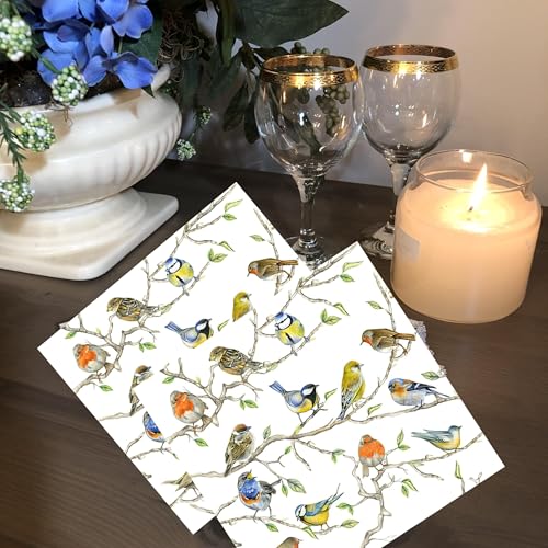 20-ct-65-Bird-Napkins-for-Decoupage-Beautiful-Napkins-Bird-Paper-Napkins-Mothers-Day-Napkins-Spring-Napkins-Paper-Decorative-Napkins-Decoupage-All-Season-Napkins-Pretty-Napkins-Fathers-napkins 20 ct 65 Bird Napkins for Decoupage Beautiful Napkins Bird Paper Napkins Mothers Day Napkins Spring Napkins Paper Decorative Napkins Decoupage All Season Napkins Pretty Napkins Fathers napkins
