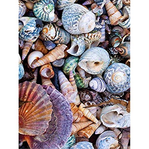 Mosaïque diamant de qualité supérieure en résine motif conque marine 5D