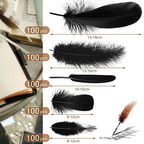 500 Pcs Halloween Black Assorted Crafts Feathers 4 Styles Mixed Feathers Black Feathers For Crafts Chicken Turkey Goose Feathers Supplies For Diy Wedding Home Party Costume Clothing Accessories #TOP1