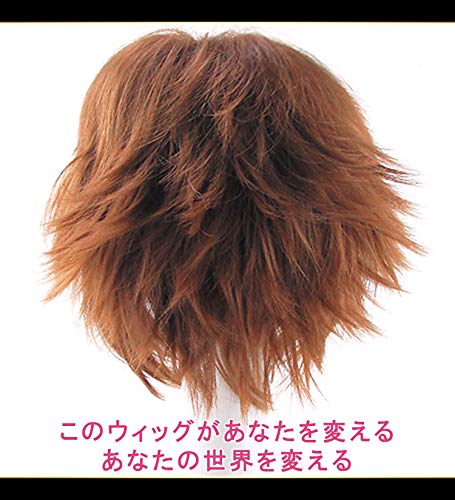 CaseEden (Case Eden) Cosplay Wig Valvrave the Liberator Tokishima Hult Meganebu Soma mirror diamond A Miyuki Kazuya short dark brown White Mel Choi wig net 2 pieces