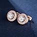 Stud Earrings 18K Rose Gold Plated Cubic Zirconia CZ Halo Ear Stud Hypoallergenic for Women with Sensitive Ears Jewelry Gift