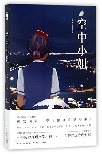 Air Hostess (Chinese Edition) [Chinese] 7513327947 Book Cover