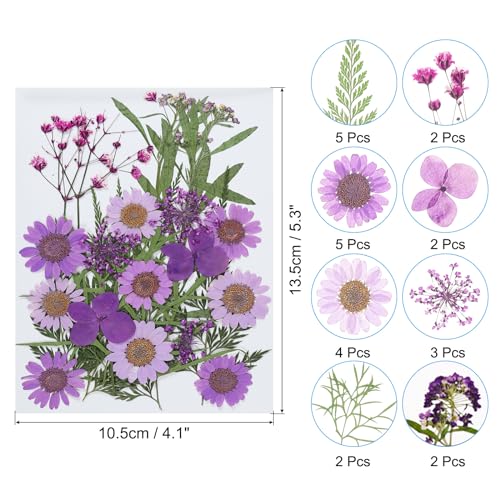 Flores Secas Prensadas NATURALES para Manualidades DIY miniatura 2
