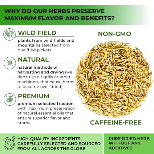 Image of 100 Bags Rosemary Tea Herbal Tea (Salvia Rosmarinus) - 100 Count 1.5g Bags Rosemary Herb Te De Romero