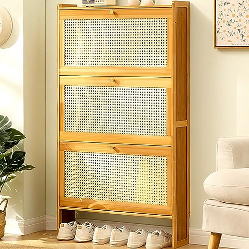 Armoire à chaussures pour placard et entrée : l'organisation parfaite de vos matins