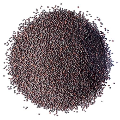 Food to Live Broccoli Seeds for Sprouting, 2 Ounces – Vegan, Kosher, Sirtfood, Bulk. Rich in Sulforaphane, Vitamin C, Vitamin A. Great for Growing Sprouts, Microgreens. High Germination Rate