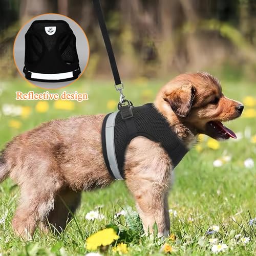 Verstellbarer Brustgurt mit reflektierender Leine - Geschirr & Leine Set für Welpen, Hunde & Katzen (XS)