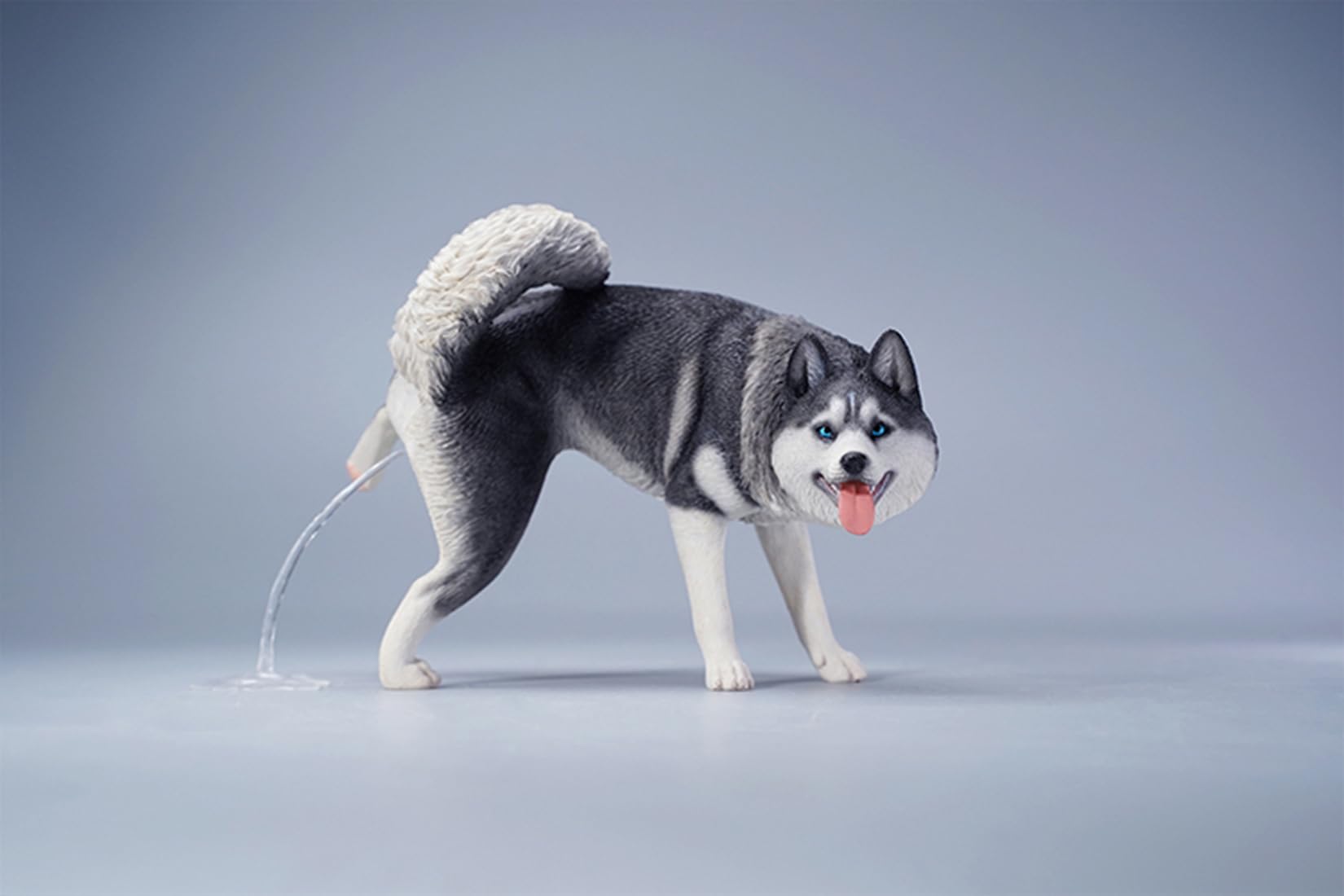 Amazon.co.jp: 1/6 サイズ シベリアン・ハスキー可愛い 滑稽 犬 動物