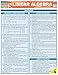 Linear Algebra QuickStudy Laminated Reference Guide (QuickStudy Academic)