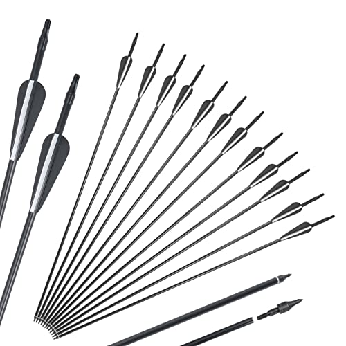 Amazon.co.uk Best Sellers The most popular items in Hunting Arrows