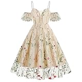 Women Spaghetti Straps Mesh Floral Embroidery Dress Tulle Flower Mesh Embroidered 50s Cocktail Dresses Wedding Guest Dresses for Women Tea Party Dress Apricot-Seaweed XL