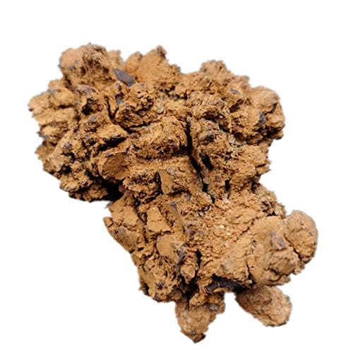 Image of Coprolite Authentic Prehistoric 0.55 Lbs Natural Fossilized Mineral Dung Stone Specimen Length 2-4 inch Dinosaur Coprolite Feces Trace Fossil (Information Card Included)