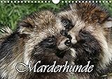 marderhund 14 Seiten bestehend aus 1 Coverbild | 12 Monatsbilder | 1 Indexseite. Inklusive Papprücken hinten und vorderseitig einer Klarsichtfolie.
