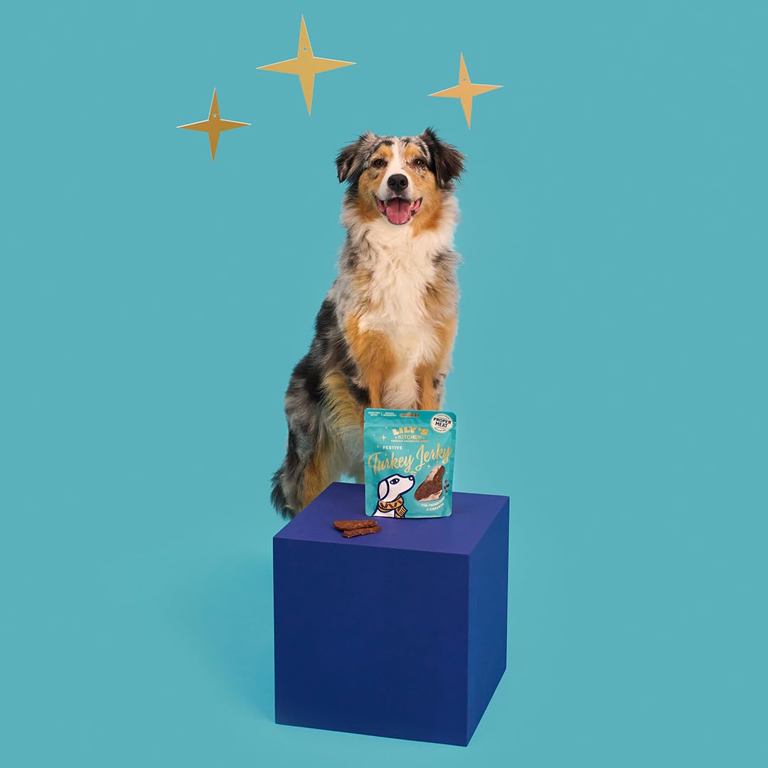 Snack per cani adulti Lily’s Kitchen con ingredienti naturali, Striscette festive di tacchino, ricetta senza cereali, 70 g