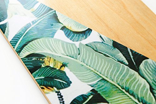 VOLADOR 42inch Freeride Longboard Complete Cruiser (Drop Through Deck - Camber concave)(Banana Tree) - Thumbnail 7