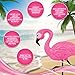 Flamingo Decor Pink Standing Lamp - LED Light Up Table Desk Top Wireless Portable Home Office Figurine Decoration Accessory Night Lights Perfect for Bedroom Parties Christmas Birthday Gifts