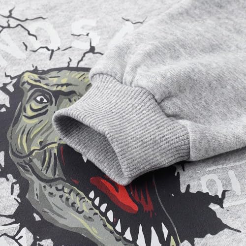 Image of Popshion Toddler Boys Sweatshirts Dinosaur Long Sleeve Pullover Crewneck Shirts Cartoon Tee Sport Tops for Kids 1-8T