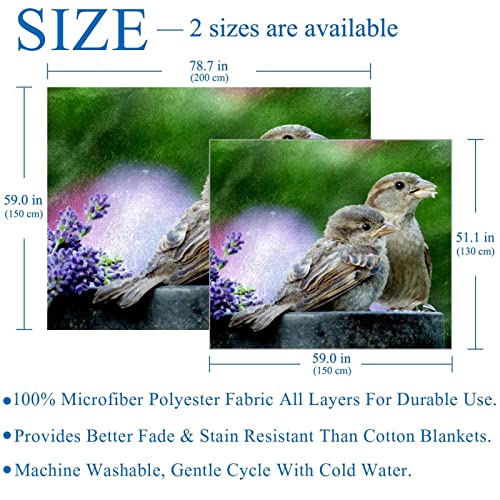 Couverture polaire microfibre haut de gamme Grey Sparrows douce