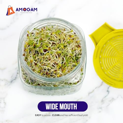 Image of Sprouts Maker Glass Jar - 950ml Large Sprouts Maker Jar for Home Use | BPA-Free Sprouting Jar with Drain Lid Handle | Reusable Glass Sprout Maker Jar for All Seeds and Beans (Yellow)