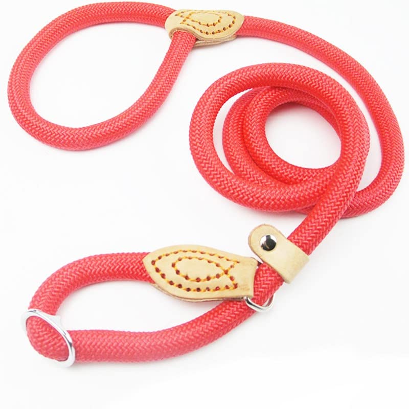 Geflochtene Hundeleine Mit Halsband – Robustes Nylonseil, Rutschfester Griff, Für Kleine Bis Große Hunde (4-50 Kg)