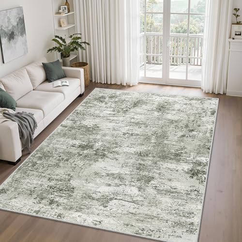 Area Rugs 5x7 for Living Room, Modern Abstract Machine Washable
