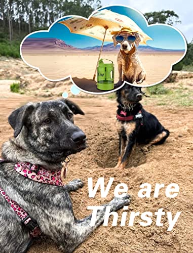 Petdott 77Oz Dog Water Bottle, Outdoor Dog Water Dispenser, Portable Dog Water Fountain For Puppy On The Go, Pet Travel Bowl No Mess No Spills For Walks/Dog Park/Road Trip -Olive Green #TOP7