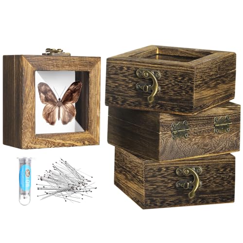 Image of Reallnaive 4 Pcs Insect Pinning Kit 4 inch Wooden Display Case Box, EVA Foam Insect Pinning Board, 100 Bug Pins for Butterfly Specimen Bugs Collection Tools(Carbonized Brown)