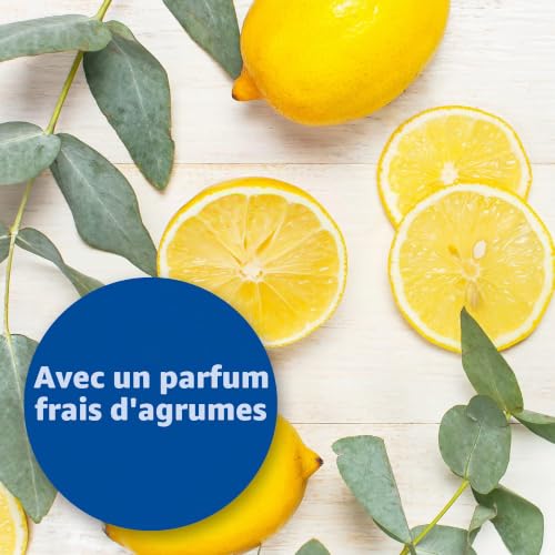 Bactazol Nettoyant Universel 500 ML avec Parfum d'agrumes Frais pour Chiens, Chats, Petits Animaux et Oiseaux – vue 3